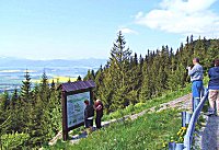 Vyhl�dka pod Holicou - 1340 m